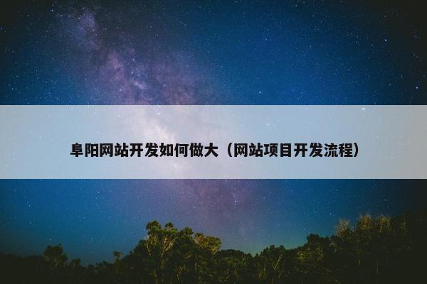 阜阳网站开发如何做大（网站项目开发流程）