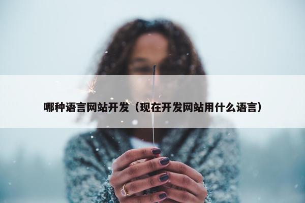 哪种语言网站开发（现在开发网站用什么语言）