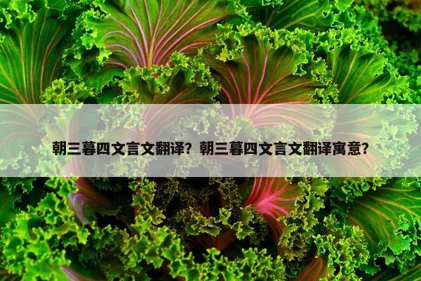 朝三暮四文言文翻译？朝三暮四文言文翻译寓意？