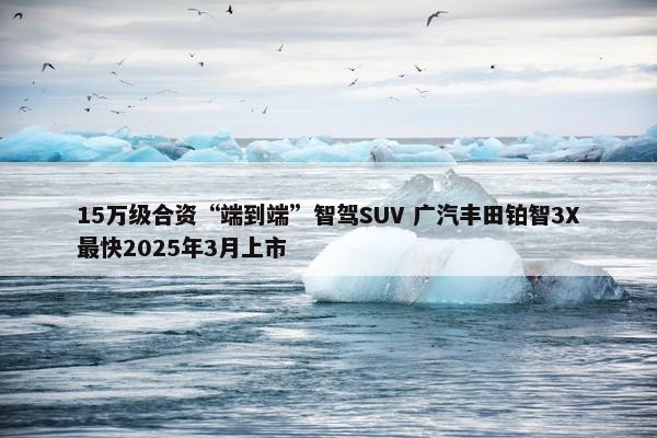 15万级合资“端到端”智驾SUV 广汽丰田铂智3X最快2025年3月上市