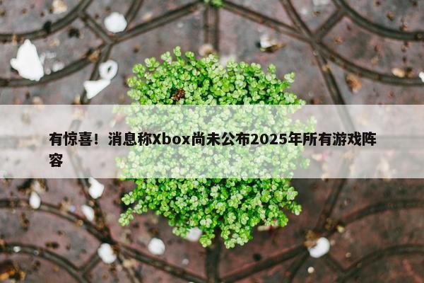 有惊喜！消息称Xbox尚未公布2025年所有游戏阵容