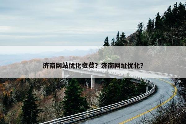 济南网站优化资费？济南网址优化？