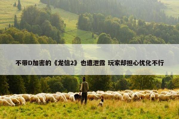 不带D加密的《龙信2》也遭泄露 玩家却担心优化不行