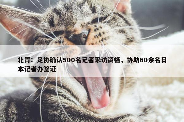 北青：足协确认500名记者采访资格，协助60余名日本记者办签证