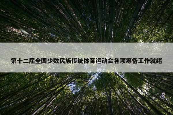 第十二届全国少数民族传统体育运动会各项筹备工作就绪