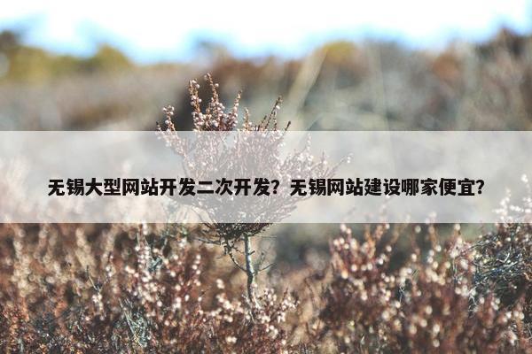 无锡大型网站开发二次开发？无锡网站建设哪家便宜？