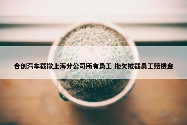 合创汽车裁撤上海分公司所有员工 拖欠被裁员工赔偿金