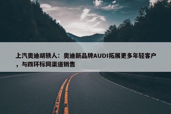 上汽奥迪胡轶人：奥迪新品牌AUDI拓展更多年轻客户，与四环标同渠道销售