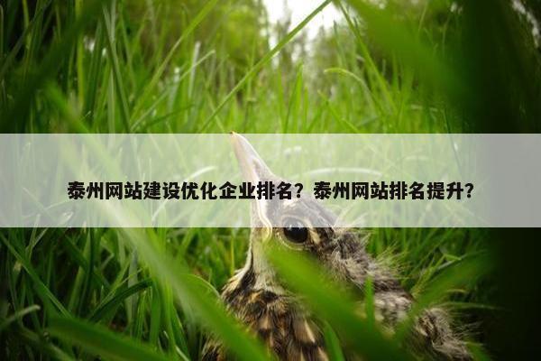 泰州网站建设优化企业排名？泰州网站排名提升？