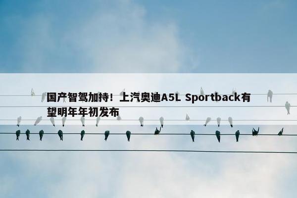 国产智驾加持！上汽奥迪A5L Sportback有望明年年初发布