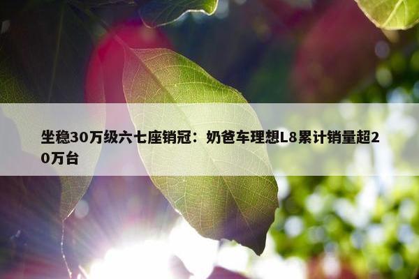 坐稳30万级六七座销冠：奶爸车理想L8累计销量超20万台