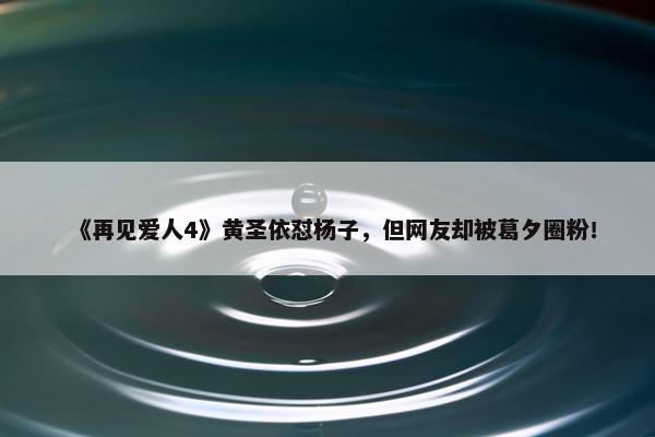 《再见爱人4》黄圣依怼杨子，但网友却被葛夕圈粉！