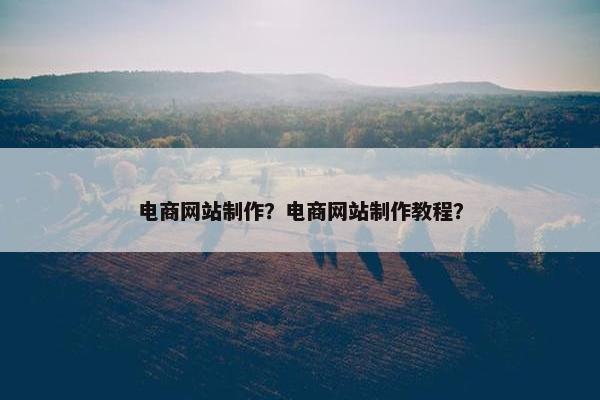 电商网站制作？电商网站制作教程？