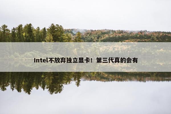 Intel不放弃独立显卡！第三代真的会有