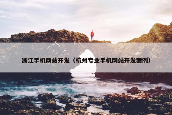 浙江手机网站开发（杭州专业手机网站开发案例）