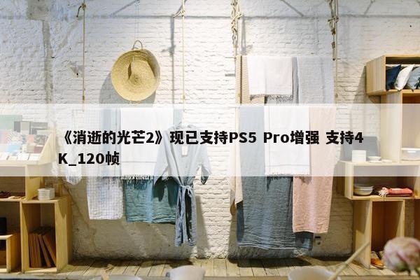 《消逝的光芒2》现已支持PS5 Pro增强 支持4K_120帧