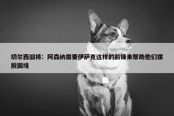 切尔西旧将：阿森纳需要伊萨克这样的前锋来帮助他们摆脱困境