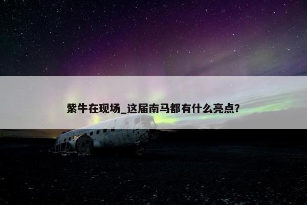 紫牛在现场_这届南马都有什么亮点？