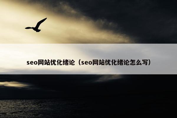 seo网站优化绪论（seo网站优化绪论怎么写）