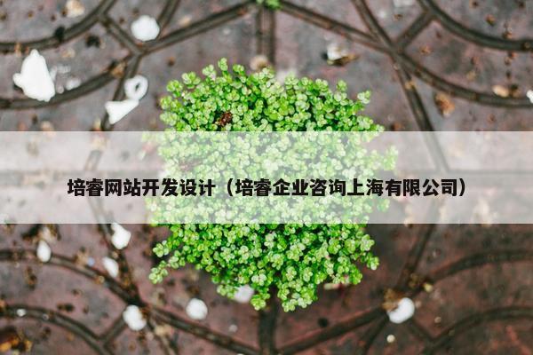 培睿网站开发设计（培睿企业咨询上海有限公司）