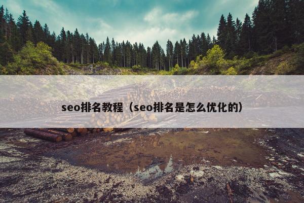 seo排名教程（seo排名是怎么优化的）