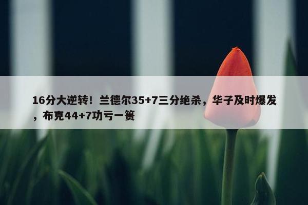 16分大逆转！兰德尔35+7三分绝杀，华子及时爆发，布克44+7功亏一篑