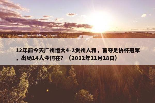 12年前今天广州恒大4-2贵州人和，首夺足协杯冠军，出场14人今何在？（2012年11月18日）