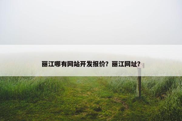 丽江哪有网站开发报价？丽江网址？