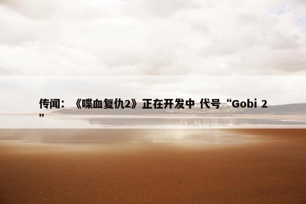 传闻：《喋血复仇2》正在开发中 代号“Gobi 2”