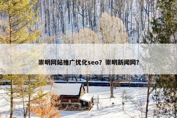 崇明网站推广优化seo？崇明新闻网？