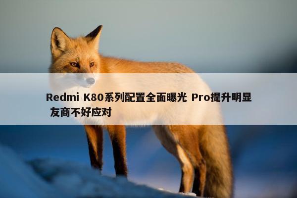 Redmi K80系列配置全面曝光 Pro提升明显 友商不好应对