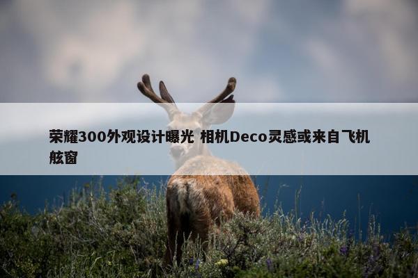 荣耀300外观设计曝光 相机Deco灵感或来自飞机舷窗