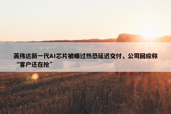 英伟达新一代AI芯片被曝过热恐延迟交付，公司回应称“客户还在抢”