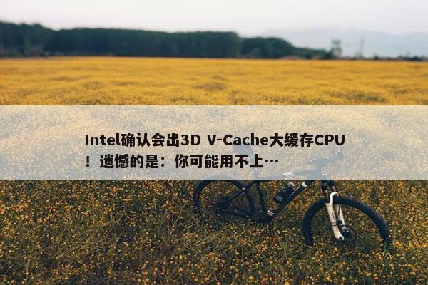 Intel确认会出3D V-Cache大缓存CPU！遗憾的是：你可能用不上…