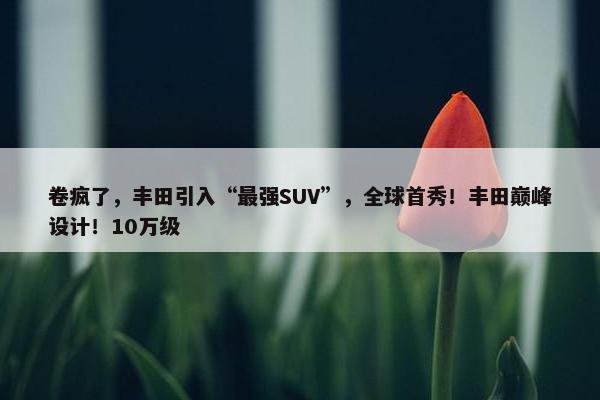 卷疯了，丰田引入“最强SUV”，全球首秀！丰田巅峰设计！10万级