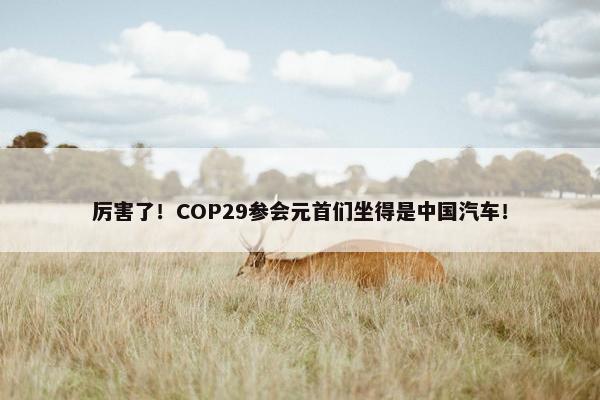 厉害了！COP29参会元首们坐得是中国汽车！