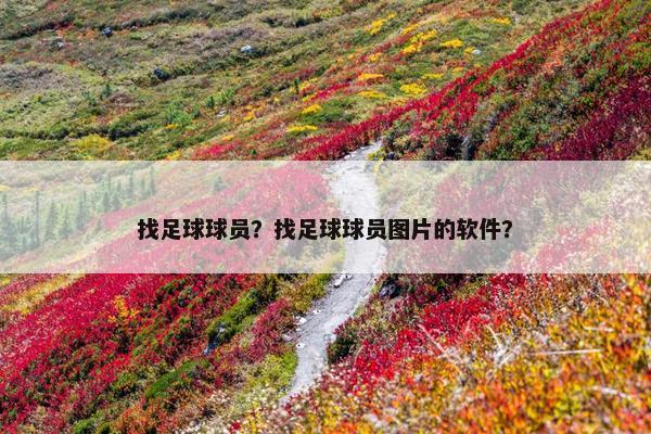 找足球球员？找足球球员图片的软件？