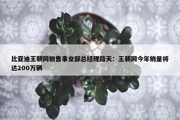 比亚迪王朝网销售事业部总经理路天：王朝网今年销量将达200万辆