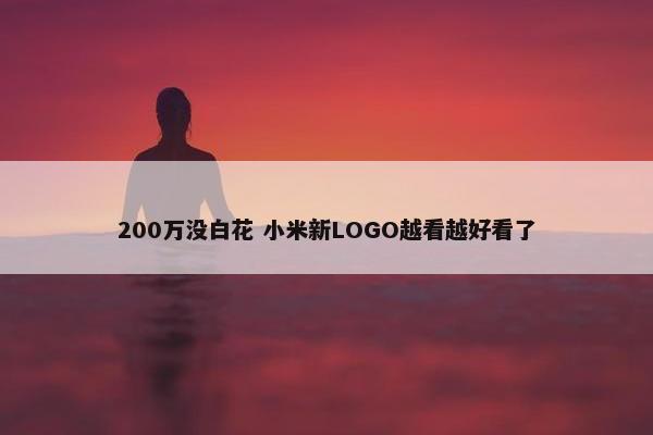 200万没白花 小米新LOGO越看越好看了