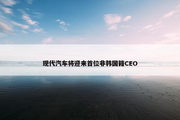 现代汽车将迎来首位非韩国籍CEO