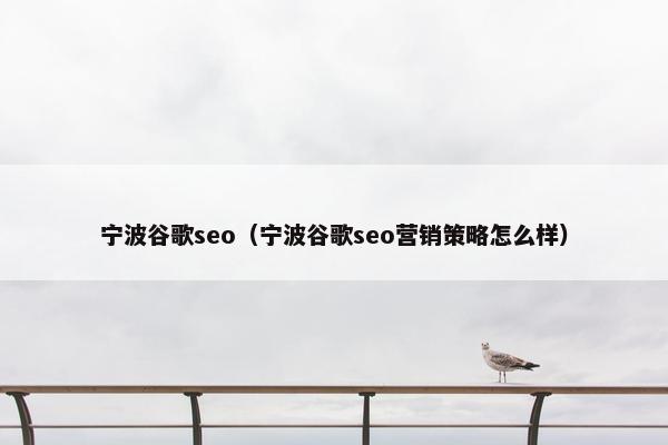 宁波谷歌seo（宁波谷歌seo营销策略怎么样）