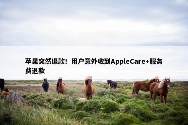 苹果突然退款！用户意外收到AppleCare+服务费退款