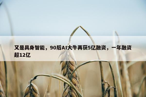 又是具身智能，90后AI大牛再获5亿融资，一年融资超12亿