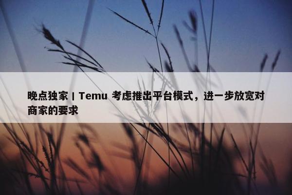 晚点独家丨Temu 考虑推出平台模式，进一步放宽对商家的要求