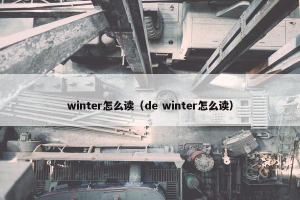 winter怎么读（de winter怎么读）