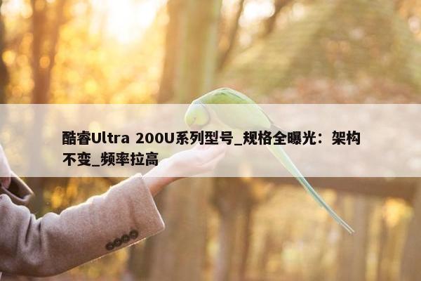 酷睿Ultra 200U系列型号_规格全曝光：架构不变_频率拉高