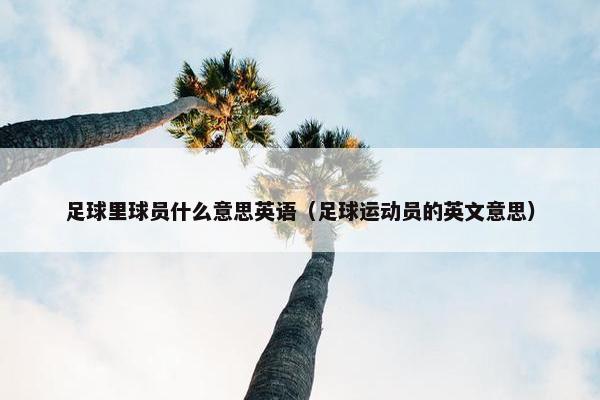 足球里球员什么意思英语（足球运动员的英文意思）