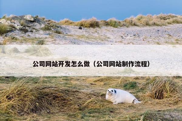 公司网站开发怎么做（公司网站制作流程）