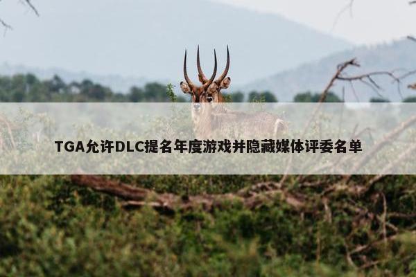 TGA允许DLC提名年度游戏并隐藏媒体评委名单