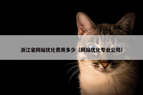 浙江省网站优化费用多少（网站优化专业公司）